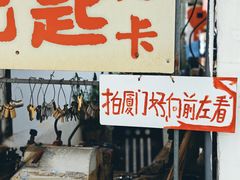 -溪岸路花鸟市场