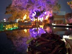 -庐山天沐温泉度假村