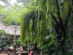 -Fern Forest Cafe