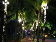 -万绿园