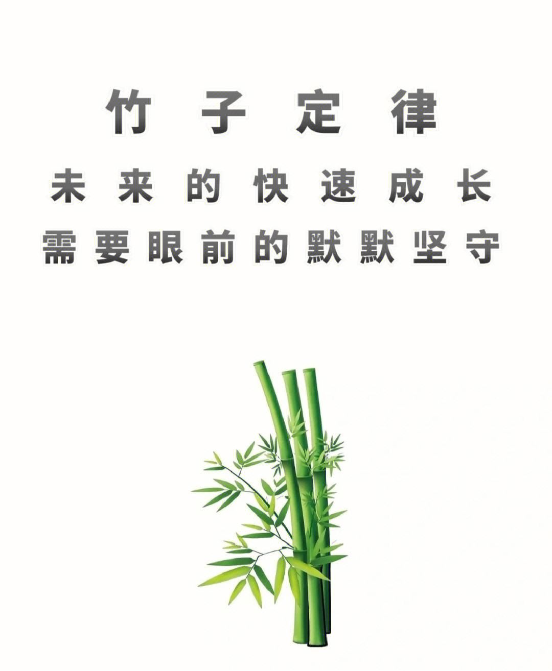 竹子定律