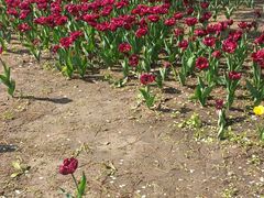 -长春公园(普阳街道)