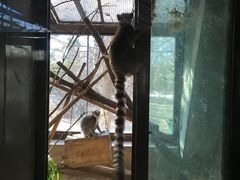 -北京动物园
