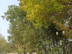 -回龙观体育文化公园