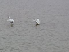 -怡海公园(桂城街道)