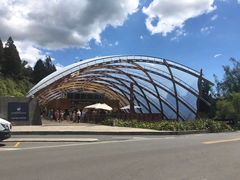 -怀托摩萤火虫洞