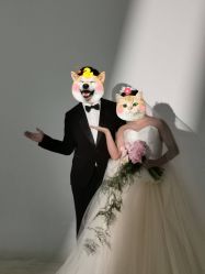 -金夫人婚纱摄影(总店)