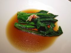 -觀芷隐轩