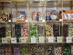 -VENCHI 闻绮(上海佛罗伦萨小镇店)