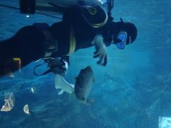 -烟台海昌鲸鲨海洋公园