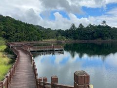 -海南热带雨林国家公园吊罗山景区