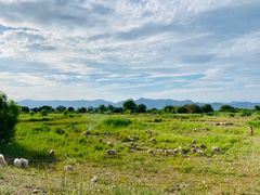 -敕勒川草原文化旅游区