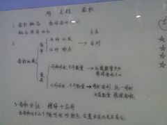 -小问号·科学启蒙·逻辑思维·阅读素养·口才演讲(杨浦合生汇中心)