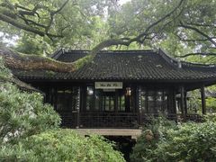 -上海醉白池公园