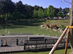 -铁山坪森林公园