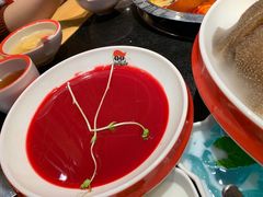 鸭血-潘小辣鲜肉老火锅