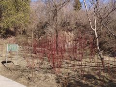 -白水寺森林公园