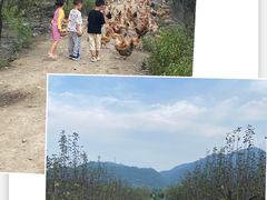 -山沟沟景区