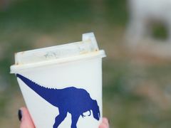瑰夏美式-大小咖啡 BigSmallCoffee(麦子店)