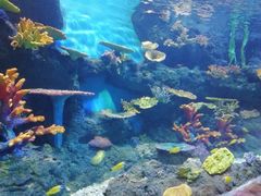 -华夏文旅海洋公园