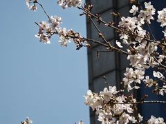 -星湖街(地铁站)