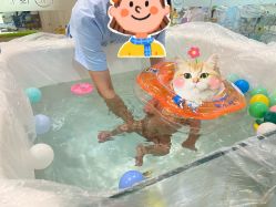-恒悦贝贝月子会所(海珠店)