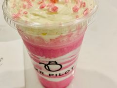 -飞行喵MR PILOT|猫舍·猫咖(静安大融城店)