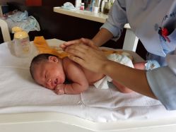 -复旦大学附属妇产科医院(杨浦院区)