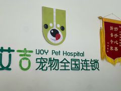 -艾吉宠物医院·疑难杂症转诊中心·猫友好(碧江路院)