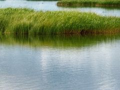-花湖生态旅游区
