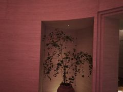 -舒小悦·舒养SPA·古法推拿(光环中心店)