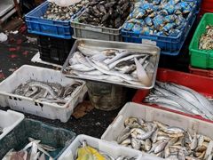 -芦潮港集贸市场