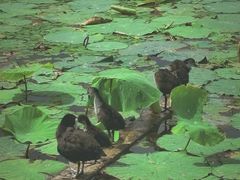 -长春市南湖公园