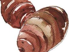 -岳各庄批发市场(西四环中路店)