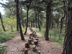 -太行锡崖沟旅游度假区