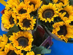 -嘉华鲜花饼·现烤(昆明老街店)