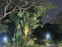 -人民公园(罗湖区)