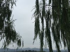 -杭州西湖柳莺里酒店