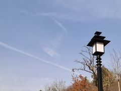 -白水寺森林公园