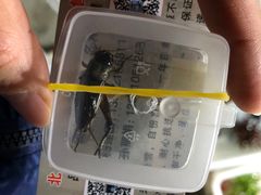 -华声天桥民俗文化园