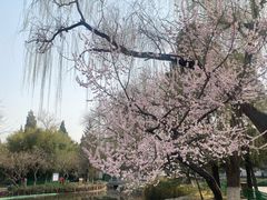 -宣武艺园