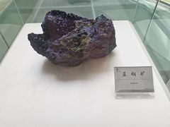 -延庆地质公园博物馆