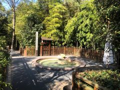 -天目湖涵田半山温泉