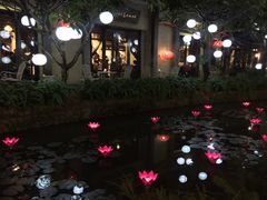 -河内西湖莲花自助餐厅
