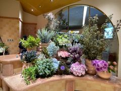 -BEAST野兽派(上海浦东嘉里城店)