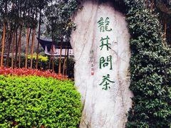 -龙井壹号·茶缘山景宴(龙井村店)