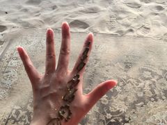 -迪拜沙漠冲沙