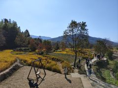 -塔川景区