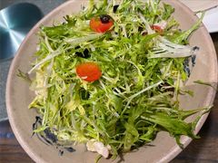 炝拌苦菊-呱呱叫民俗风味主题餐厅(沣峪口店)