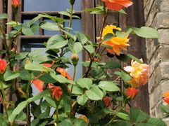 -回龙窝历史文化街区